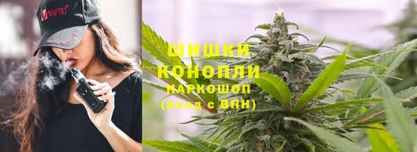 спайс Алексин